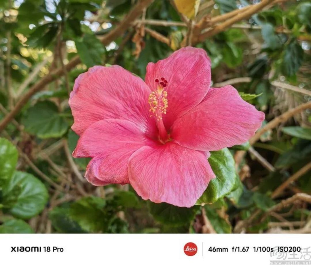 小米18 Pro首发体验:小屏旗舰这次更有想象力
