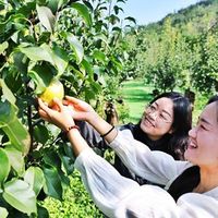 奔县游爆火但坑也踩麻了？这份避坑指南请收好