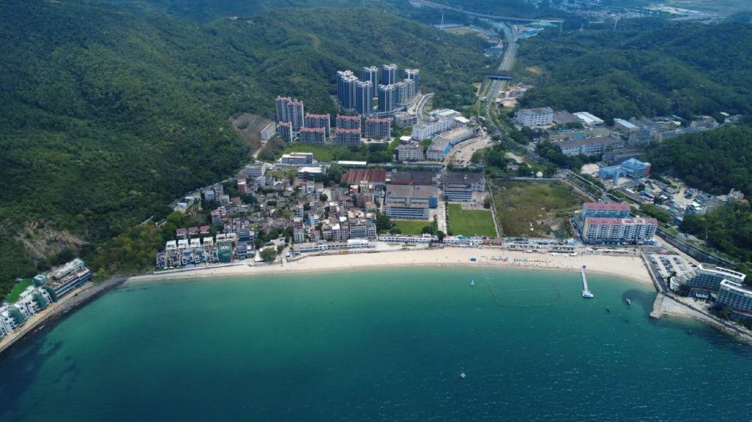 杰灵871万法拍海景房:4.36倍起拍价举了282次牌,“多花170万”才是这场法拍最诚实的部分