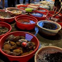 直播间的"骨折价"海鲜猫腻多！学会这三招少交智商税
