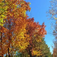 同一个大兴安岭，有人花5300喊避雷，有人花4000想三刷：吵翻的评论区里藏着三笔账