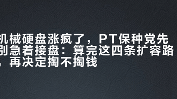 机械硬盘涨疯了，PT保种党先别急着接盘：算完这四条扩容路，再决定掏不掏钱