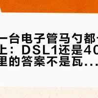 新手第一台电子管马勺都卡在“太吵”上：DSL1还是40，39条评论里的答案不是瓦数，是master