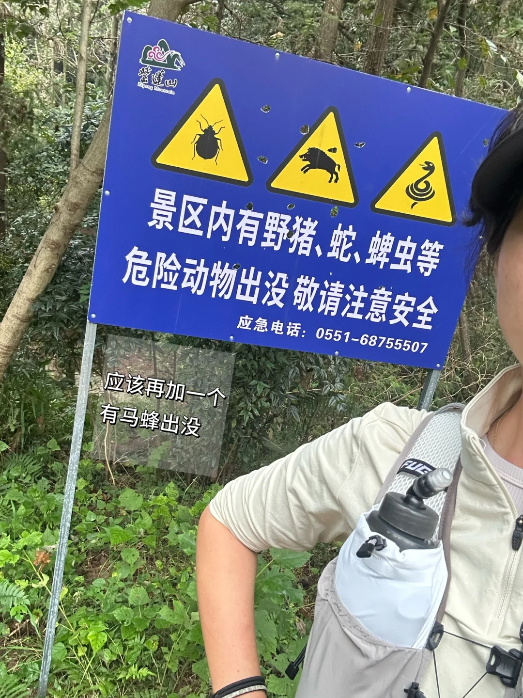 秋蜂猛如虎:被蜇700多口的兄妹案刚开庭,我发现连认证账号都把急救法教反了