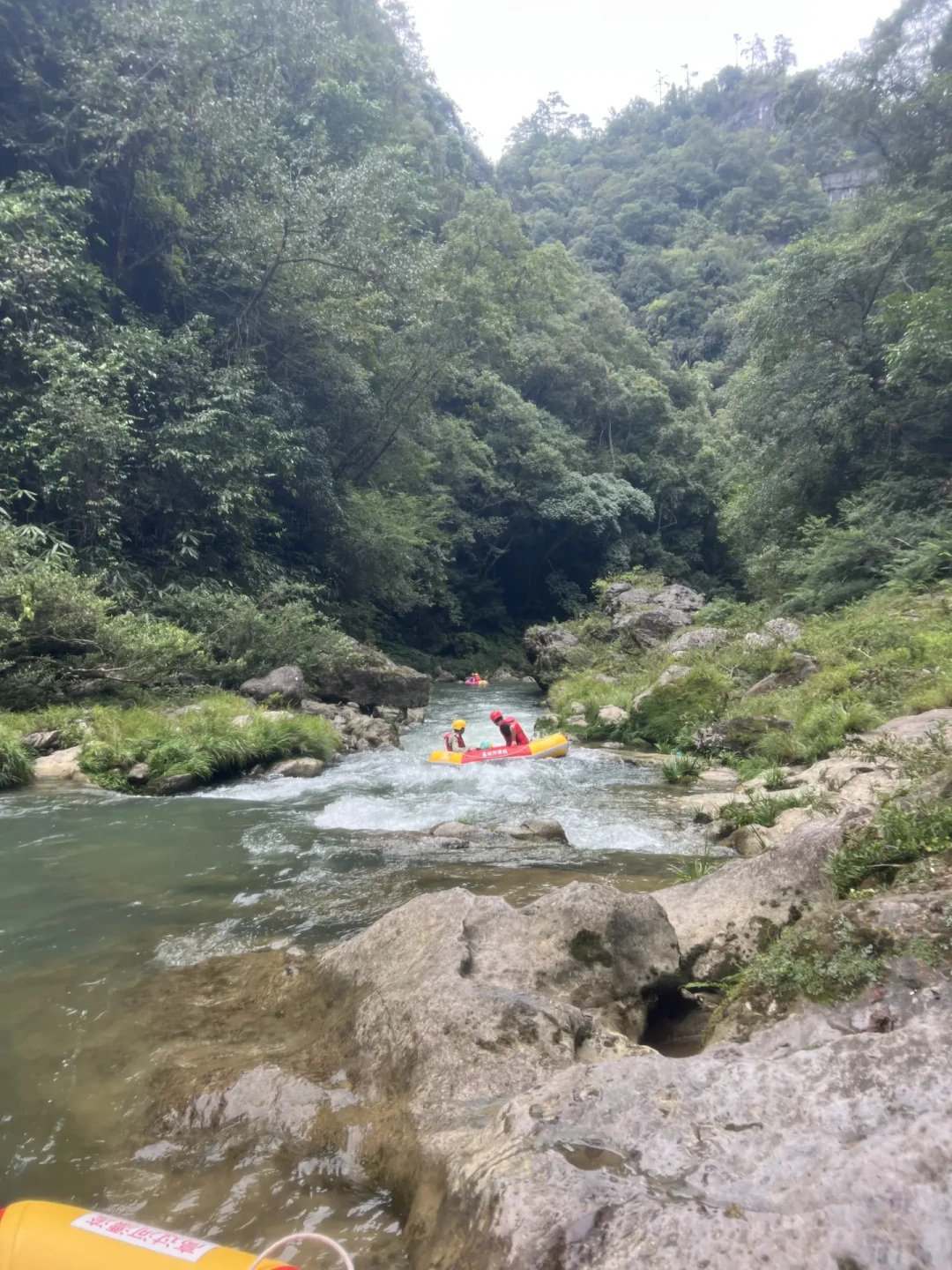 全网都在刷