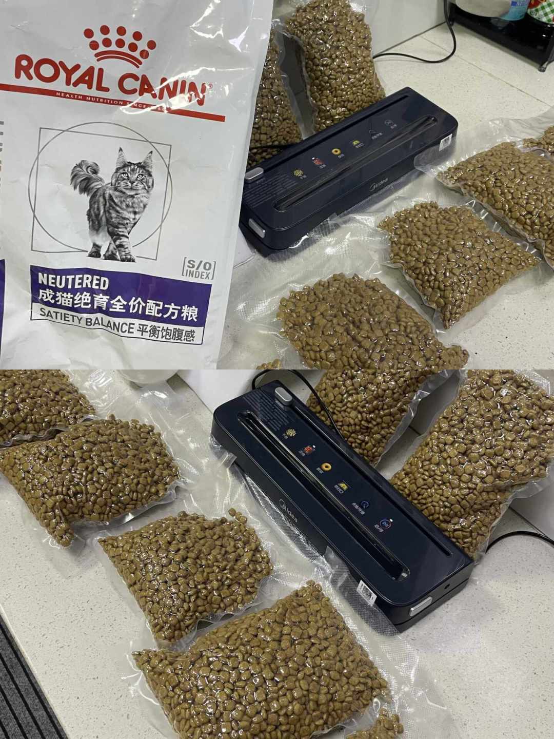「13斤的英短到底胖不胖」吵了上千条评论:我拼完上万条减肥评论、6个真实掉秤案例和3档体检报价,双十一囤粮前这笔账先算清