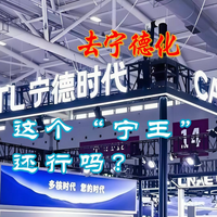 车企去宁德化，“宁王”还行吗？