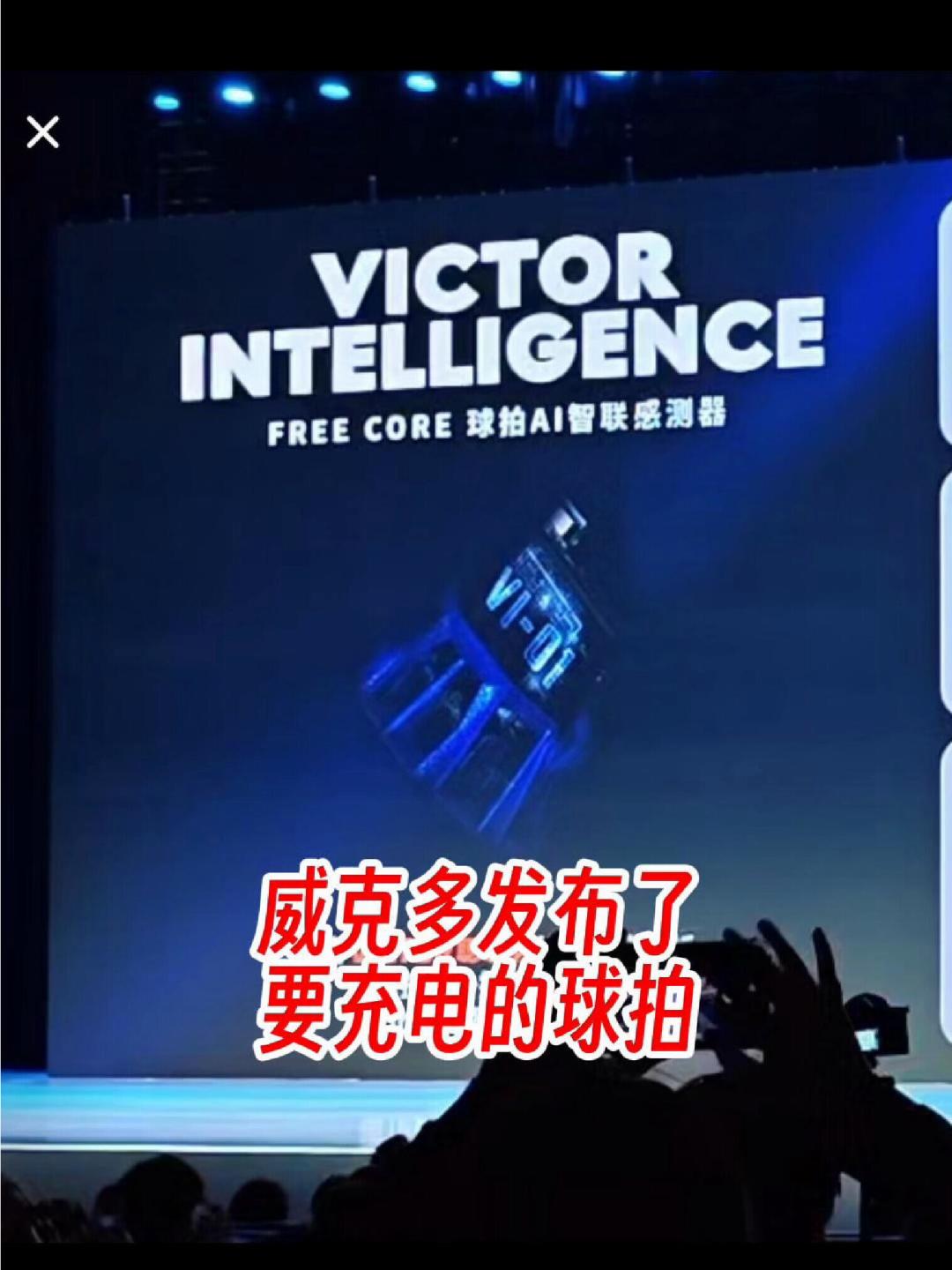 羽毛球拍要先充电了?对完18个月时间线、近千条评论和600多的报价,先别急着预订,把三本账算清