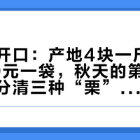 新栗刚开口：产地4块一斤，山姆21.9元一袋，秋天的第一锅栗子，先分清三种“栗”再付钱