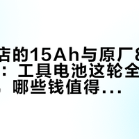 第三方店的15Ah与原厂880元的8Ah：工具电池这轮全极耳大容量潮，哪些钱值得花、雷长在哪