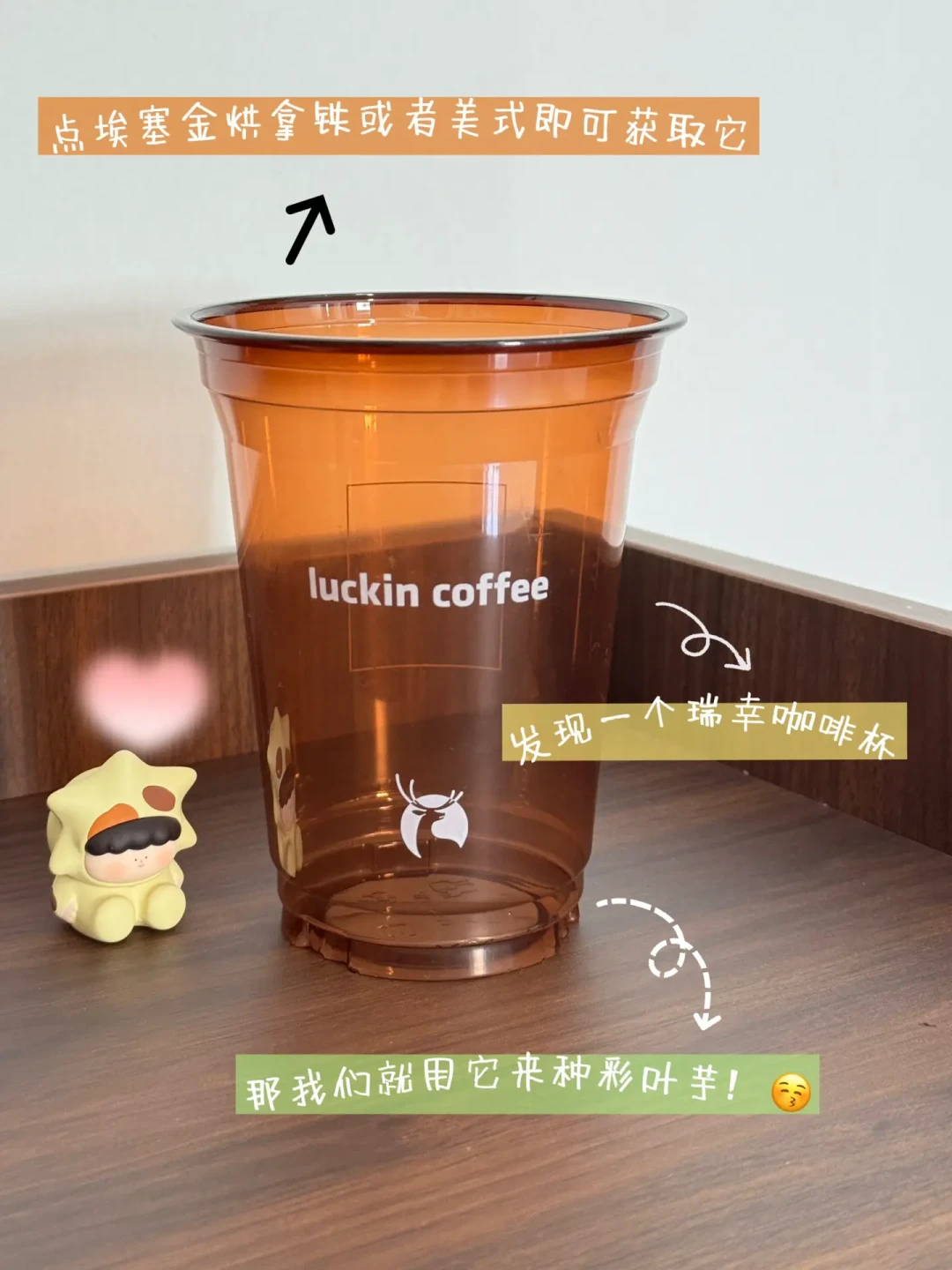 九月喝完奶茶的人都在留杯子:翻完4.6万赞的“1个月浇1次水”楼、522条追问架子链接的PP杯再就业帖和“不打孔”高赞之争,我把哪种杯留得下、三种不打孔玩法和不值得买的配件理清了