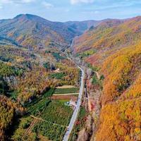 2026赏秋指南出炉：19省25地黄金时间全在这，去错等于白跑
