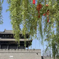 大衣哥开始"扮演NPC"了：穿关公甲、说王婆媒、cos唐僧，景区里看他到底值不值票价