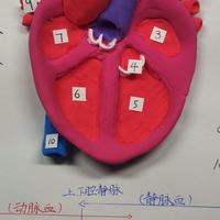 陈建州心梗发作，第一个动作是吃胃药：被热搜吓到查“胸闷”的你，这份就医判断清单收好