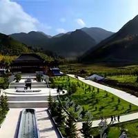 硒片哪个好判断？先建立正确比较方法