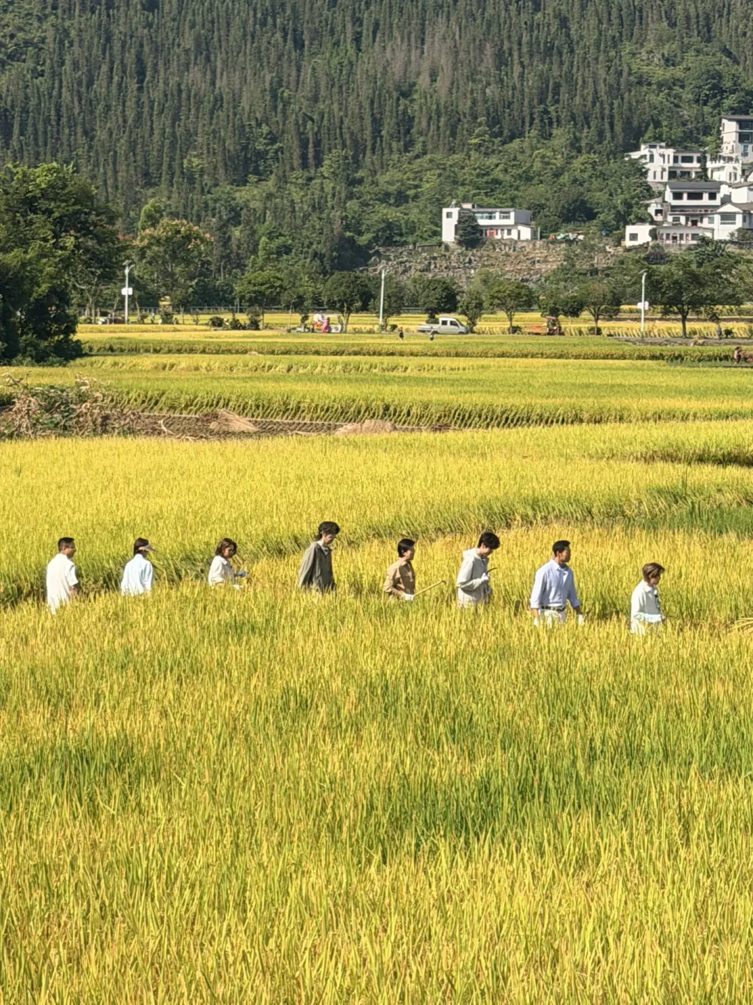 王濛割稻、蒋易在央视“抓周”出圈:《谷物人生》开播两天,人火了节目还没火,值得追吗?