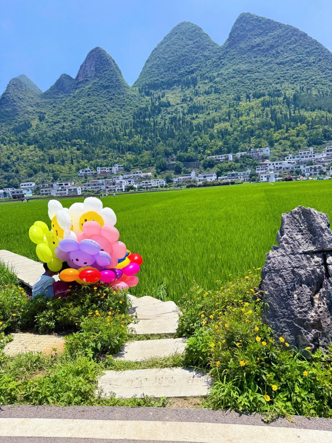 《谷物人生》悄悄开播:王濛、水哥、庞博下稻田了,央视这档不要会员的慢综艺值得花时间吗?