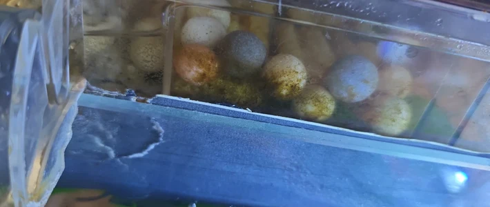 换季大扫除先别把滤材全掏出来：翻完这些洗崩帖，出事的多不是洗了，是全洗加自来水