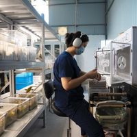 600元的鹦鹉把73岁外婆送进ICU:我排完9起公开报道的鹦鹉热病例,把真高危和标题党恐慌分开了