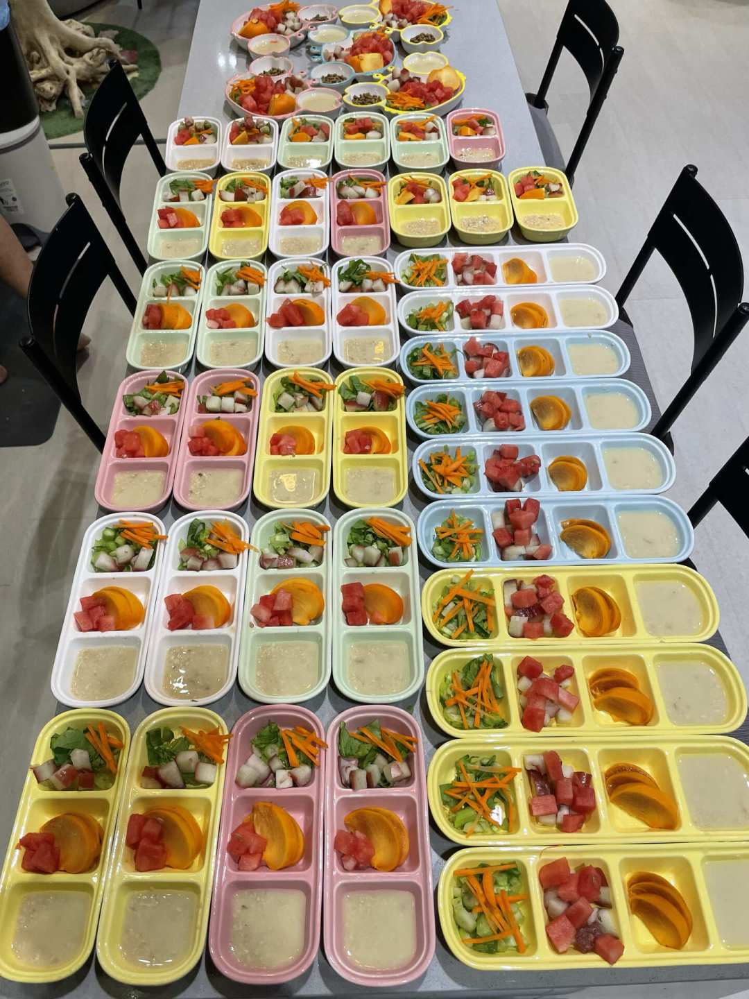 亚宠展的小蜜惨剧年年重演: