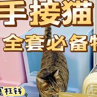 新手准备与健康管理 | 养猫9.25日报