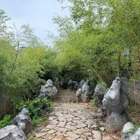 《兰香如故》冲上云合历史级42.6%市占，排播却突然踩刹车：单更、停更、花钱看结局，入坑前这笔账帮你算清