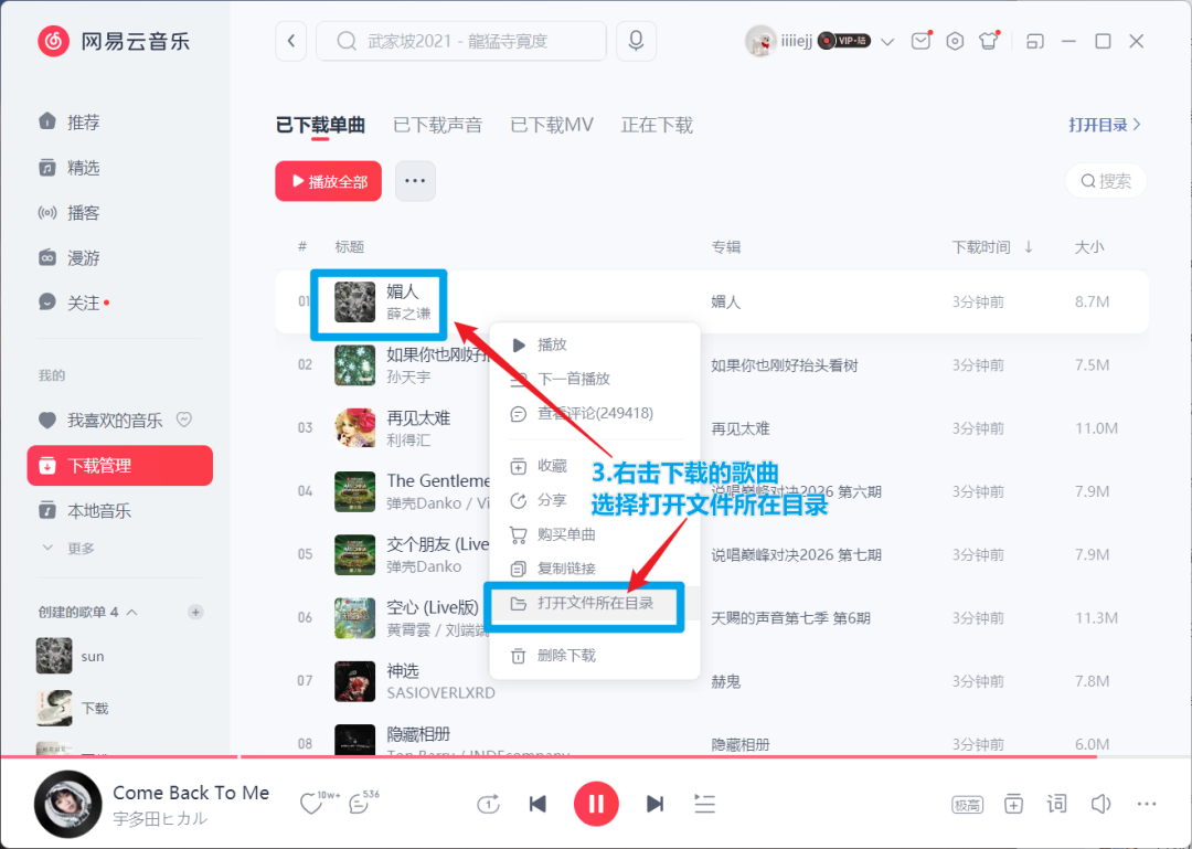下好的歌全是.ncm,插进车机全哑火:国庆想靠U盘听歌的,这笔黑胶VIP的钱先对完三笔账