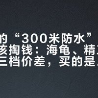 雪铁纳的“300米防水”，不是人人都该掏钱：海龟、精工5、天梭的三档价差，买的是三样完全不同的东西