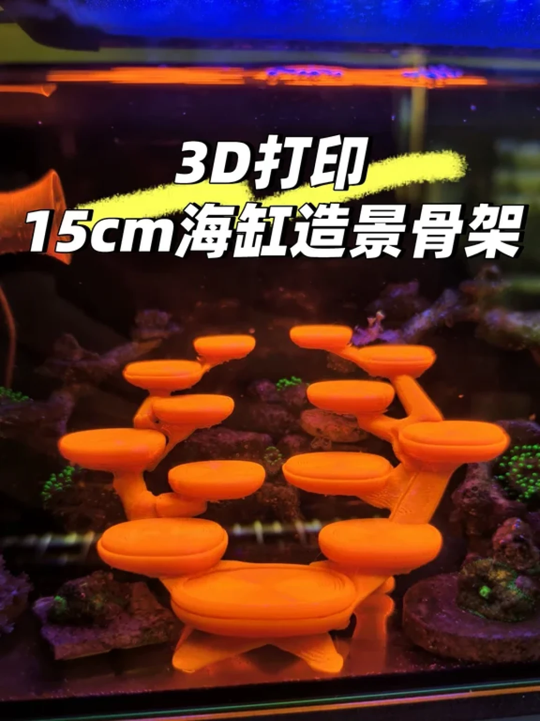 跳舞骷髅被全网3D打印复刻:同款代打价差30倍,先把“打印件下缸”这三条规则弄明白再下单