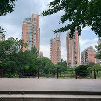 五人重聚把全网炸回《爱情公寓》：全系列124集、口碑涨回7.9分，但先搞清你重刷的是不是当年那版