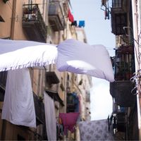 MUJI留言板8248条许愿：口粮悄悄下架后，哪些该囤、哪些等返场、哪些能平替
