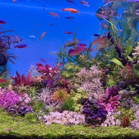ADA新旗舰水草泥发售当天官宣延期：翻完全网假泥翻车帖、官方实测数据和6块到75元的价格带，秋天开缸前先捏泥、再对肥力，然后决定等不等亚马逊PRO