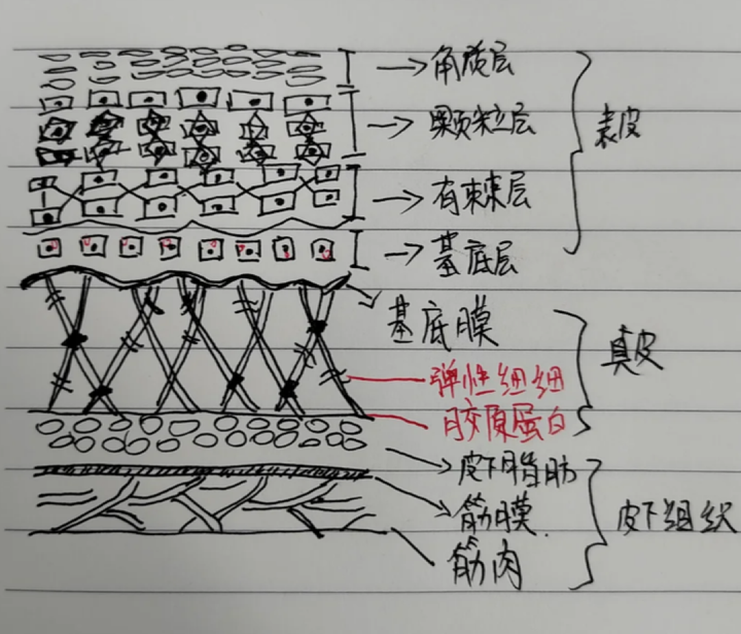 全脸6000和980都叫