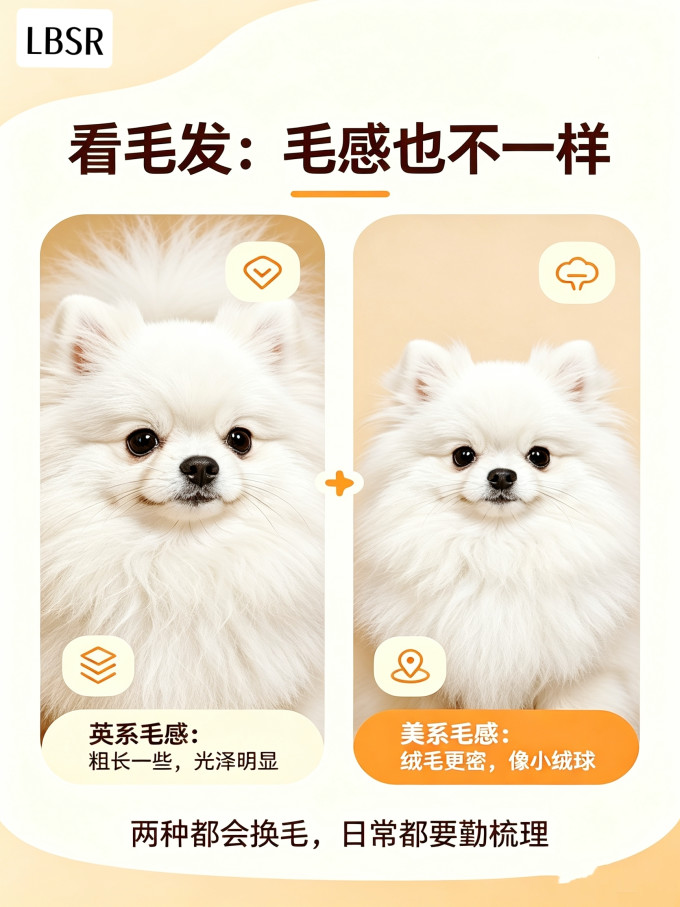 狗狗