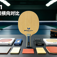 新手不会选球拍？红双喜和蝴蝶各自擅长什么，看完这篇不再纠结