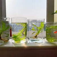 降温又赶上国庆出门，孔雀鱼的加热棒到底开不开？对完510条评论和避雷帖的账：致命的是温差，不是低温