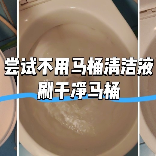 不用马桶清洁液，零成本刷马桶，你会用什么别的替代品?