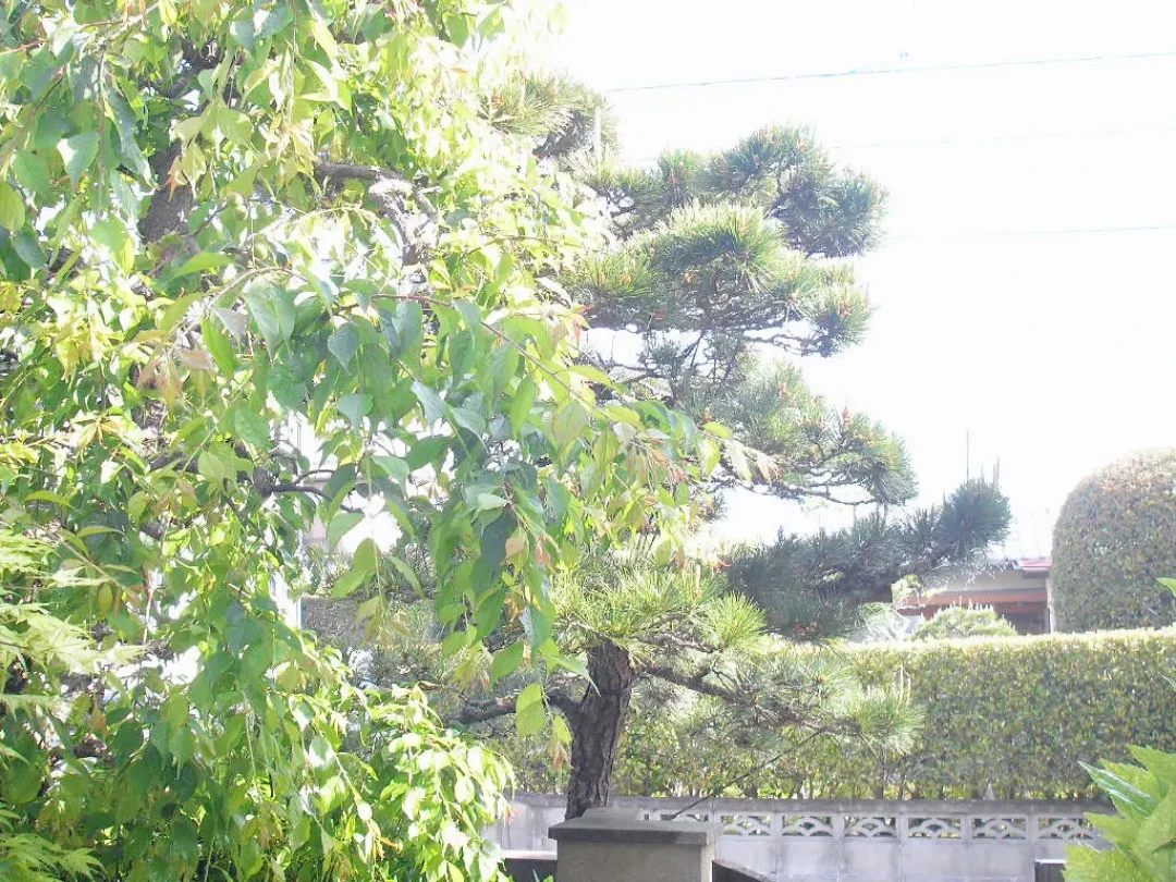 同一台富士CCD，从21元到2000元：开学季和国庆前想