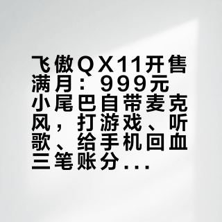 飞傲QX11开售满月：999元小尾巴自带麦克风，打游戏、听歌、给手机回血三笔账分开算