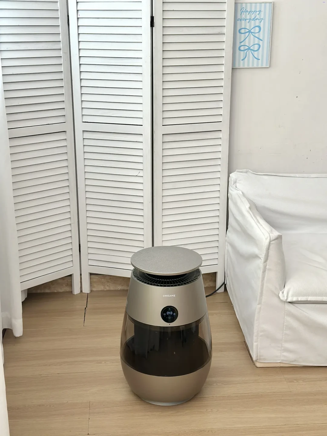 猫毛净化器刷屏换毛季:追觅AP10和FP10的价签、滤芯账和三条平替路线,双11前我全对完了