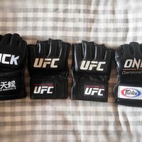 UFC罗萨斯战胜巴塞洛斯：获胜者同款训练装备与营养补剂清单