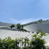 国庆博物馆一票难求：80块的自然博物馆门票，先带娃读对这几本书再进场