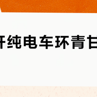 国庆开纯电车环青甘睡床车？6800公里实测只剩三段硬骨头：大柴旦排队2小时、冷湖段一根桩、爬坡按对折规划
