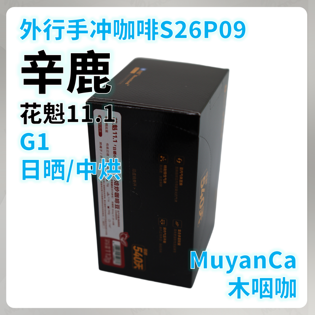 外行手冲咖啡S26P09：辛鹿 花魁11.1 G1 中烘 手冲咖啡豆