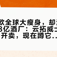 帝亚吉欧全球大瘦身，却没砍大理这座8亿酒厂：云拓威士忌2027年才开卖，现在蹲它值不值