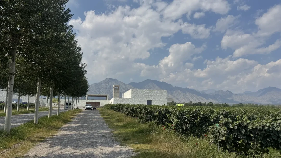 国庆去宁夏看榨季,先算清这几笔账再出发:源石免费进、品鉴60起,夏桐188和368两档「不接受现场报名」,西鸽288、银色高地199/299/499,贺兰晴雪268被游客算出「淘宝还便宜30」;包车一天350到900、官方刚宣布专项投放300万葡萄酒消费券——预约账、口碑账、交通账我全摆齐了,去不去你看完再定