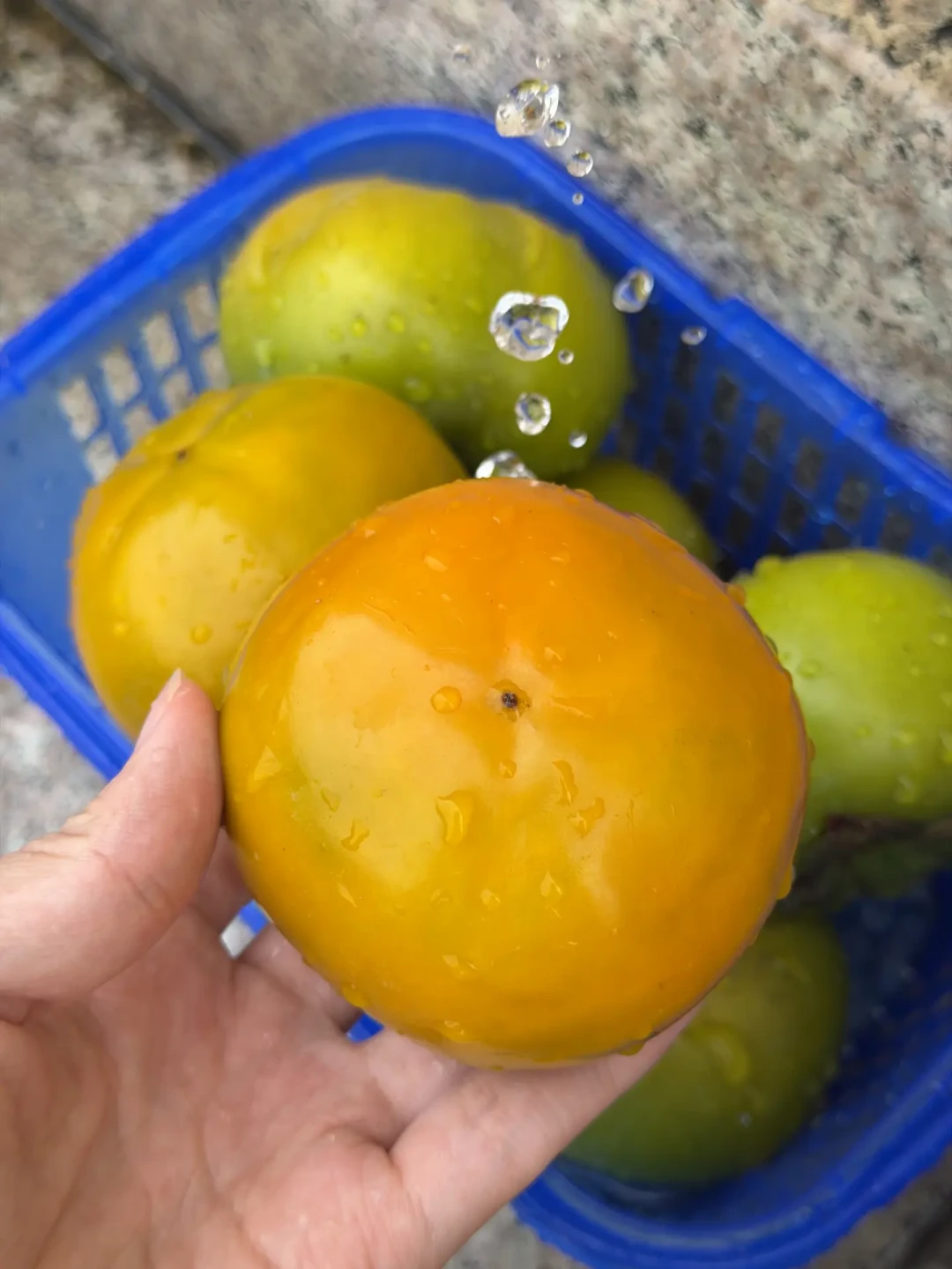 一边是盒马柿子被骂