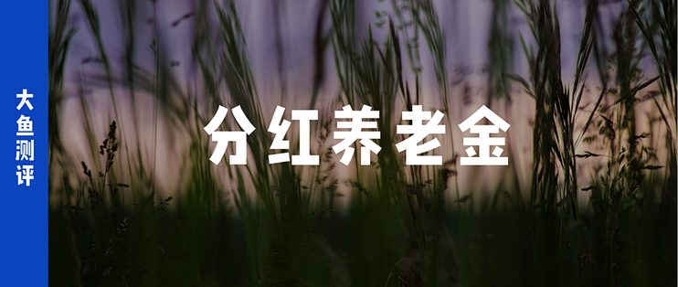 市场稀缺的保证领取30年，2款分红养老金横评