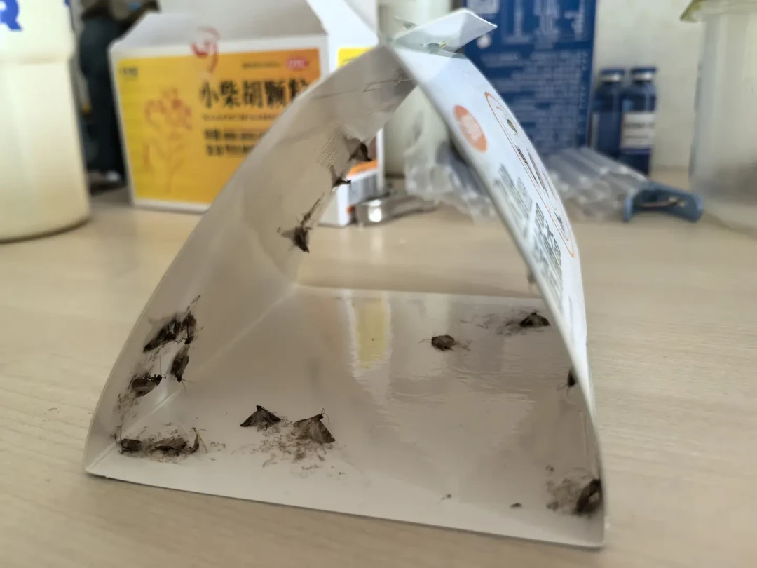 换季衣柜进入