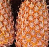菠萝蜜